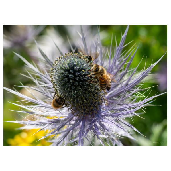 PHOTO84, CLUB, 84 , LUBERON